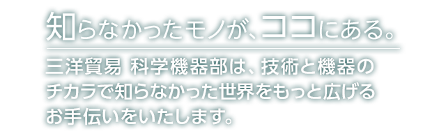 三洋貿易 三洋貿易 マイティスティック （25cm） 800MT