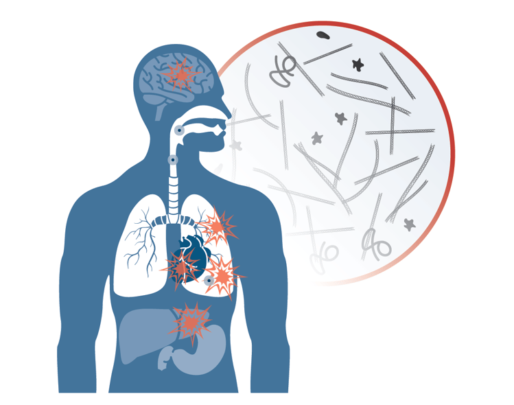 03_StatPeel-Workflow-Grafiken_2020_Daten-20