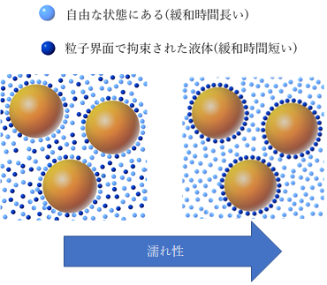 パルスNMR図１