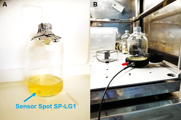 Fig_1_ABE_Fermentation