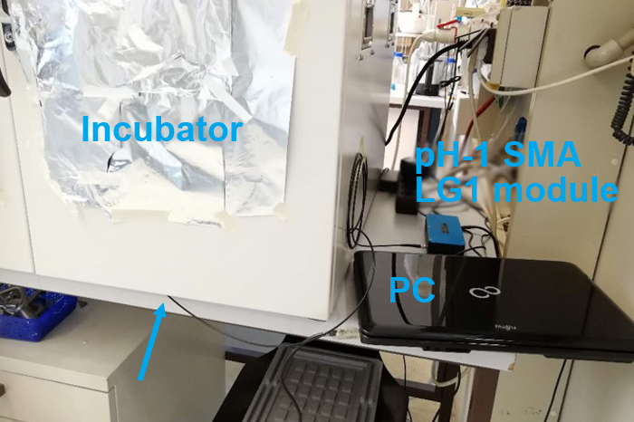 Fig_2_ABE_Fermentation_01