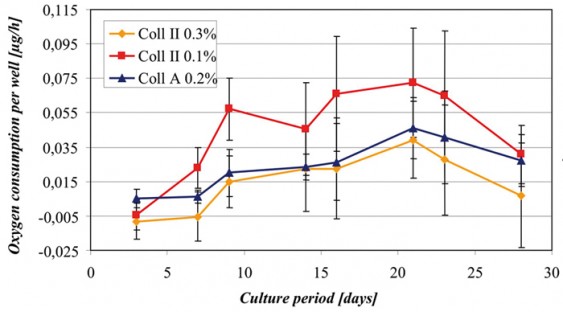 Fig_2_Chondrocyte_Culture