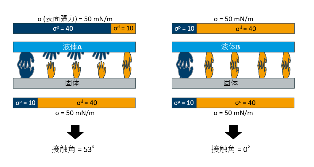 SFE_3