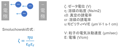 顕微鏡電気泳動法図1