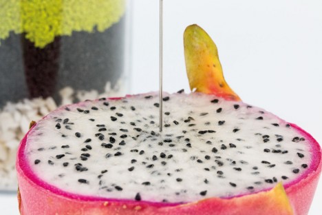 csm_APP_AM_Biology_Dragon_Fruit_fcb9e56dfb