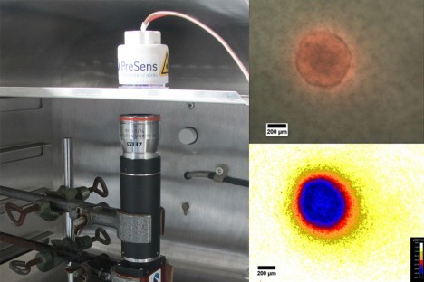 csm_APP_VisiSens_TD_Microscopic_ef241ee14a (1)