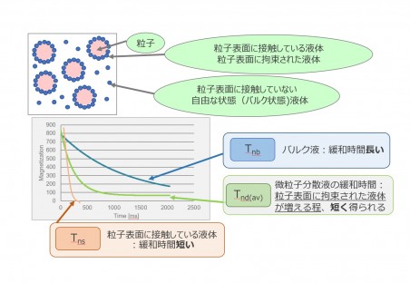 緩和時間　図