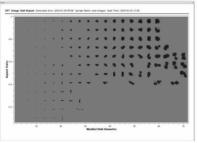 each particle XPT