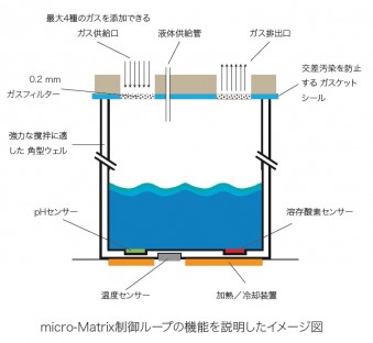 mM3